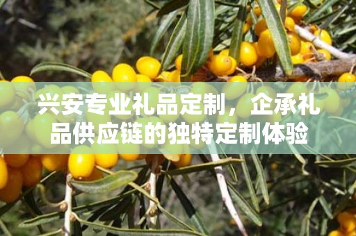 兴安专业礼品定制，企承礼品供应链的独特定制体验