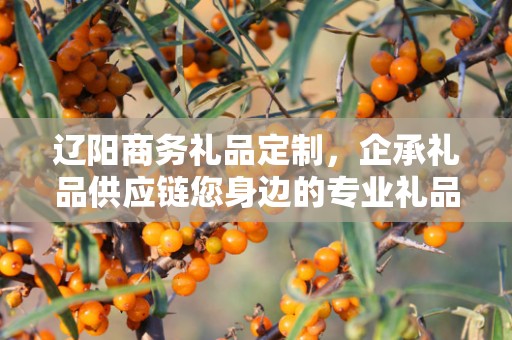 辽阳商务礼品定制，企承礼品供应链您身边的专业礼品定制公司