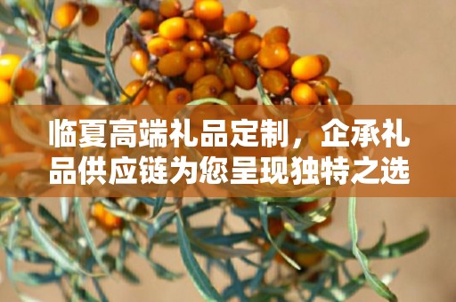 临夏高端礼品定制，企承礼品供应链为您呈现独特之选
